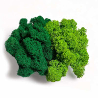 Premium Moss for Decoration Light Green and Dark Green