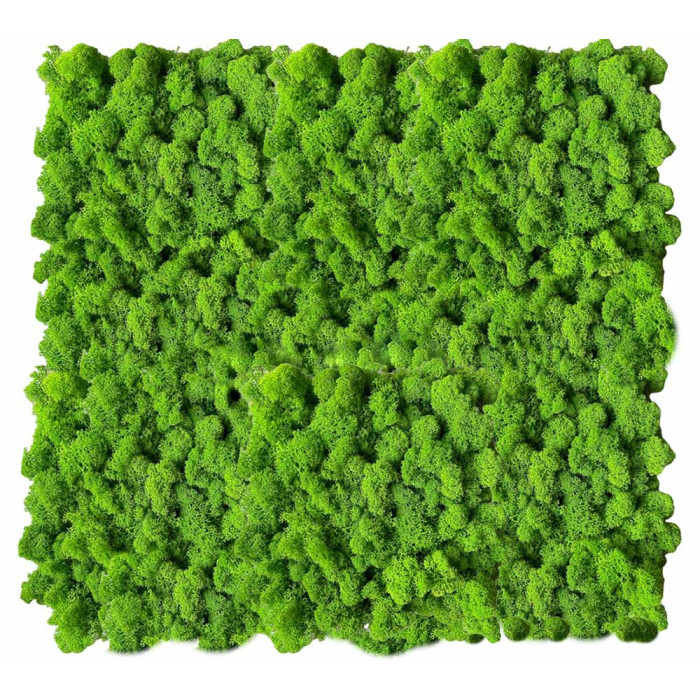 Weed Moss Panel. Create a green moss wall