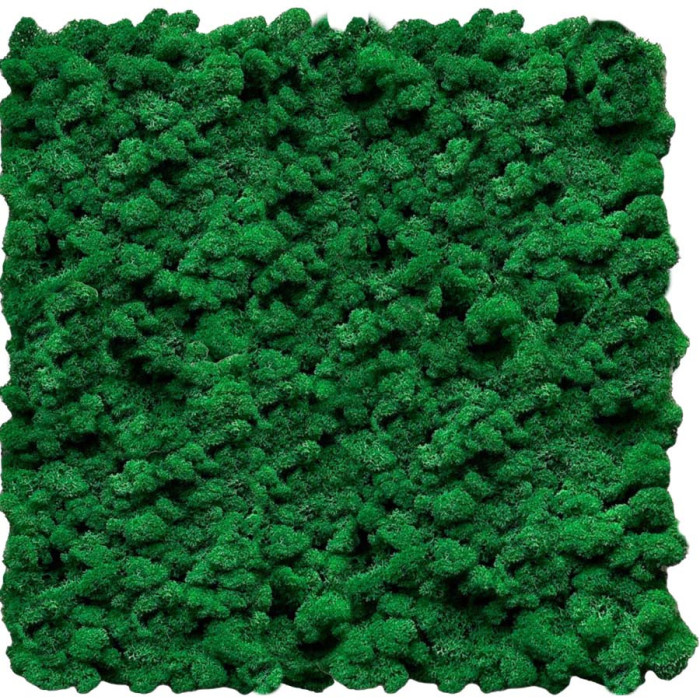 Weed Moss Panel. Create a green moss wall