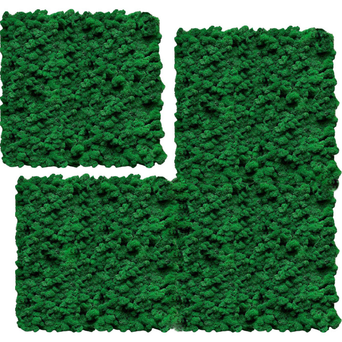 Wall Panel - Weed Moss. Create a Green Wall with Moss.