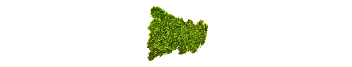 Natural Moss Wholesale and Retail Sales